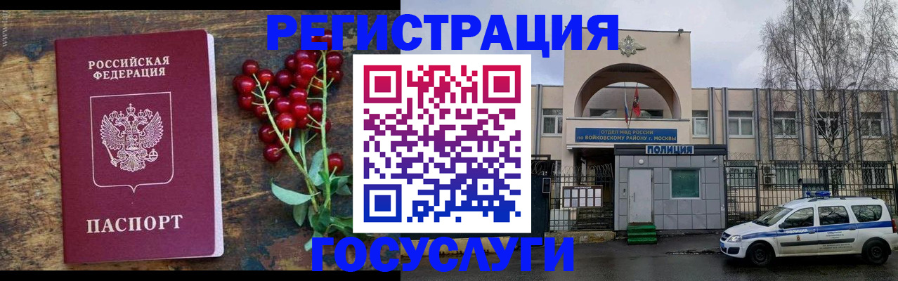 прописка 2025 в Коряжме